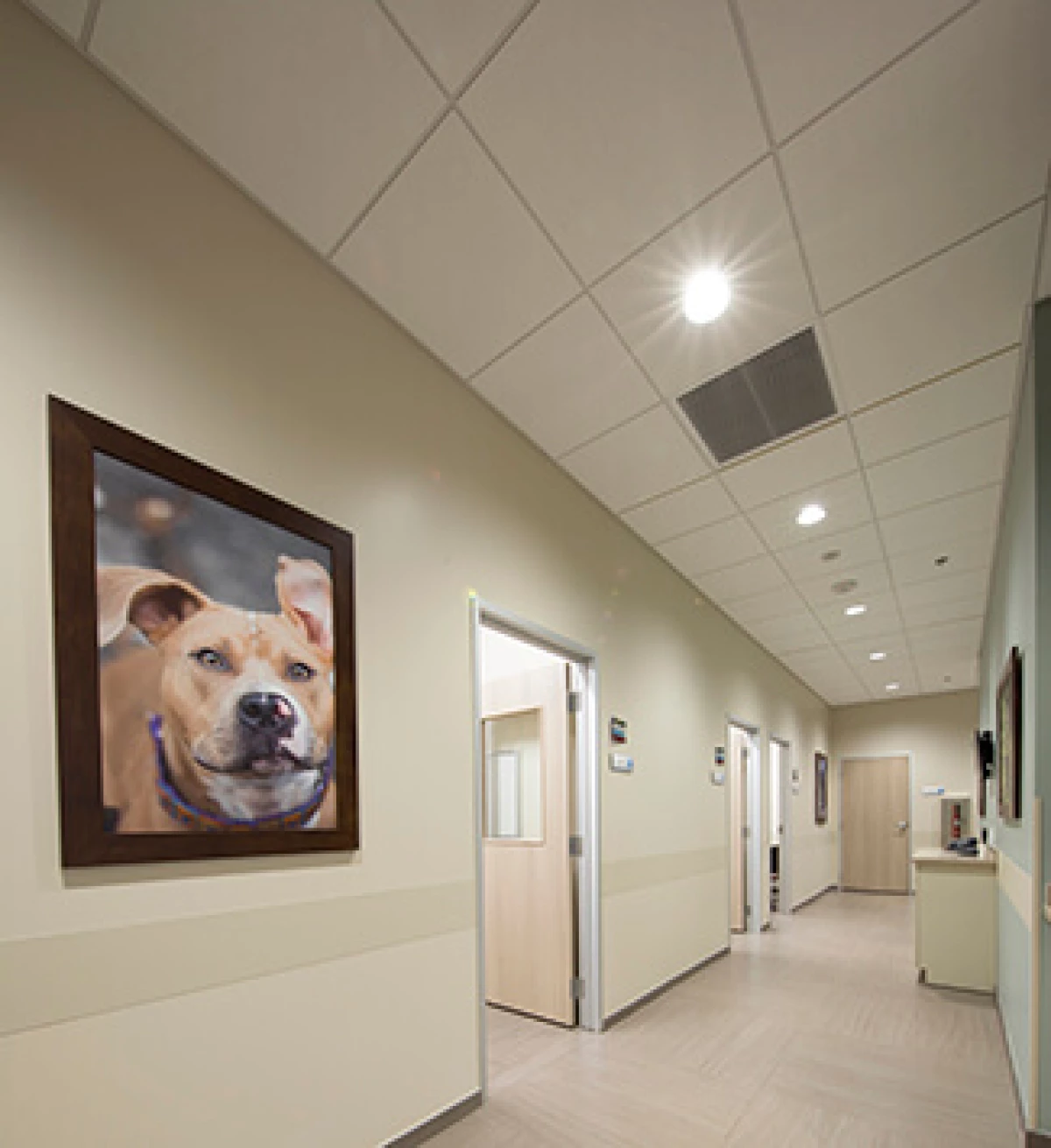 Image for testimonial from Allison Dietz