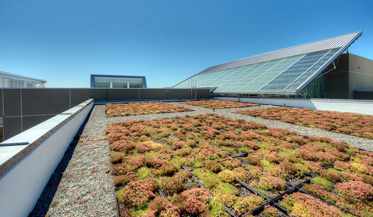 Project image for Pierce College Rainier Science + Technology Building