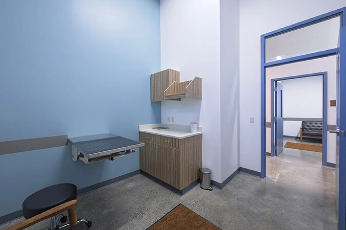 Project image for Animal Medical Center of Seattle (AMCS)