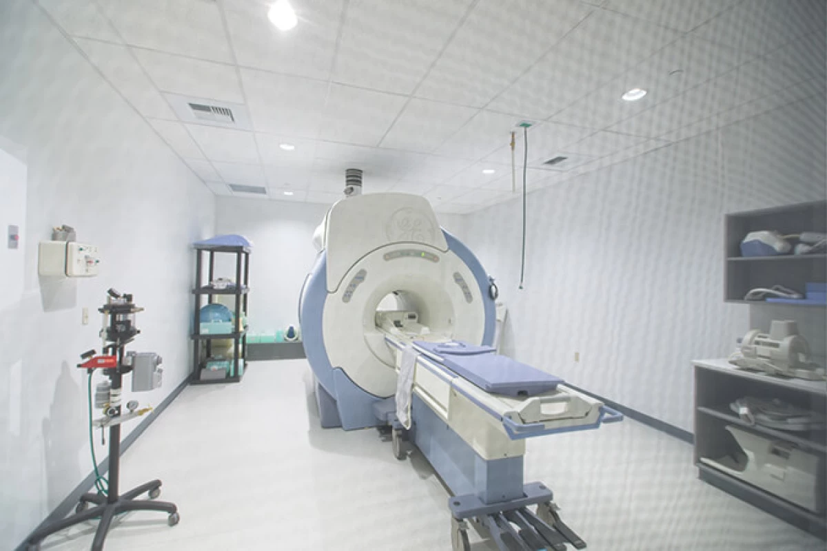 Project image for Animal Medical Center of Seattle (AMCS)