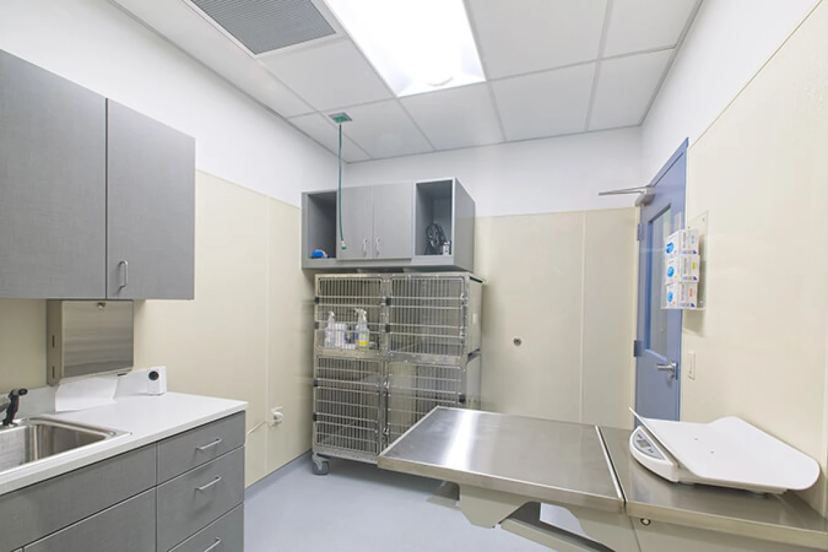 Project image for Animal Medical Center of Seattle (AMCS)