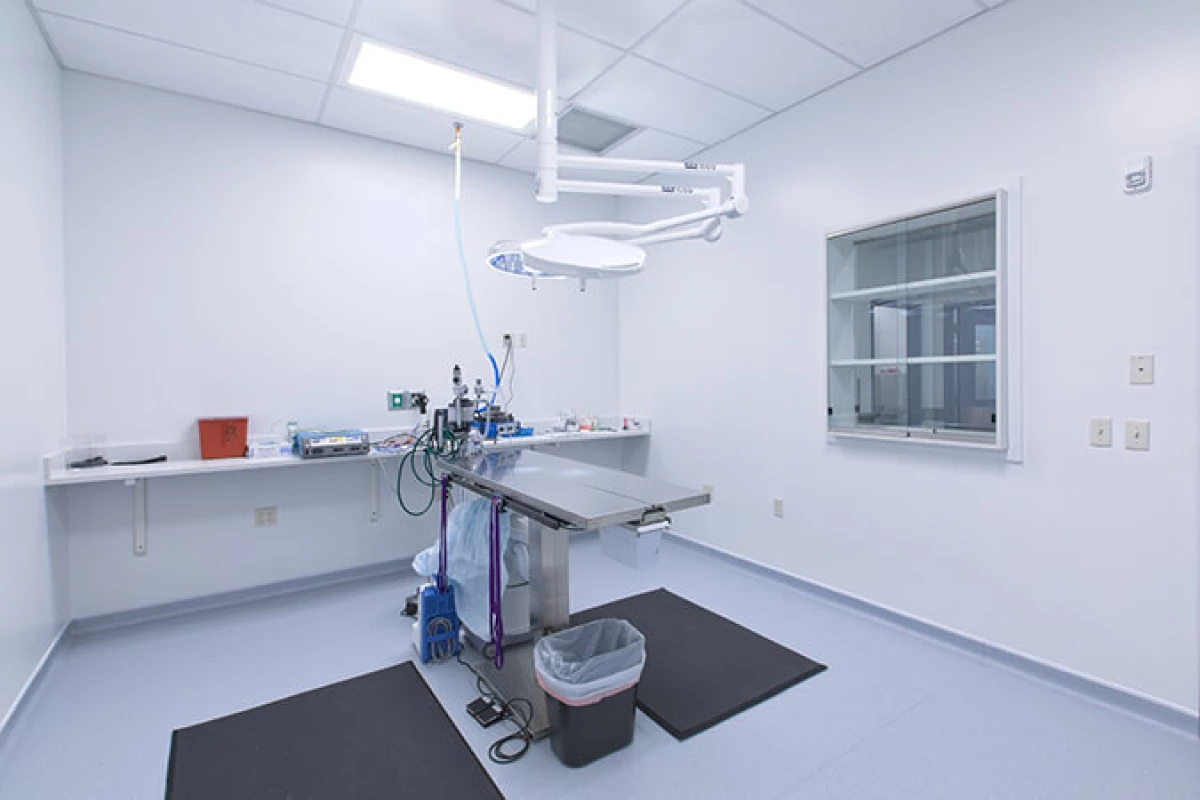 Project image for Animal Medical Center of Seattle (AMCS)