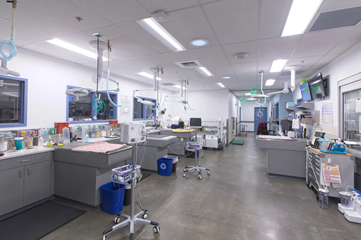 Project image for Animal Medical Center of Seattle (AMCS)
