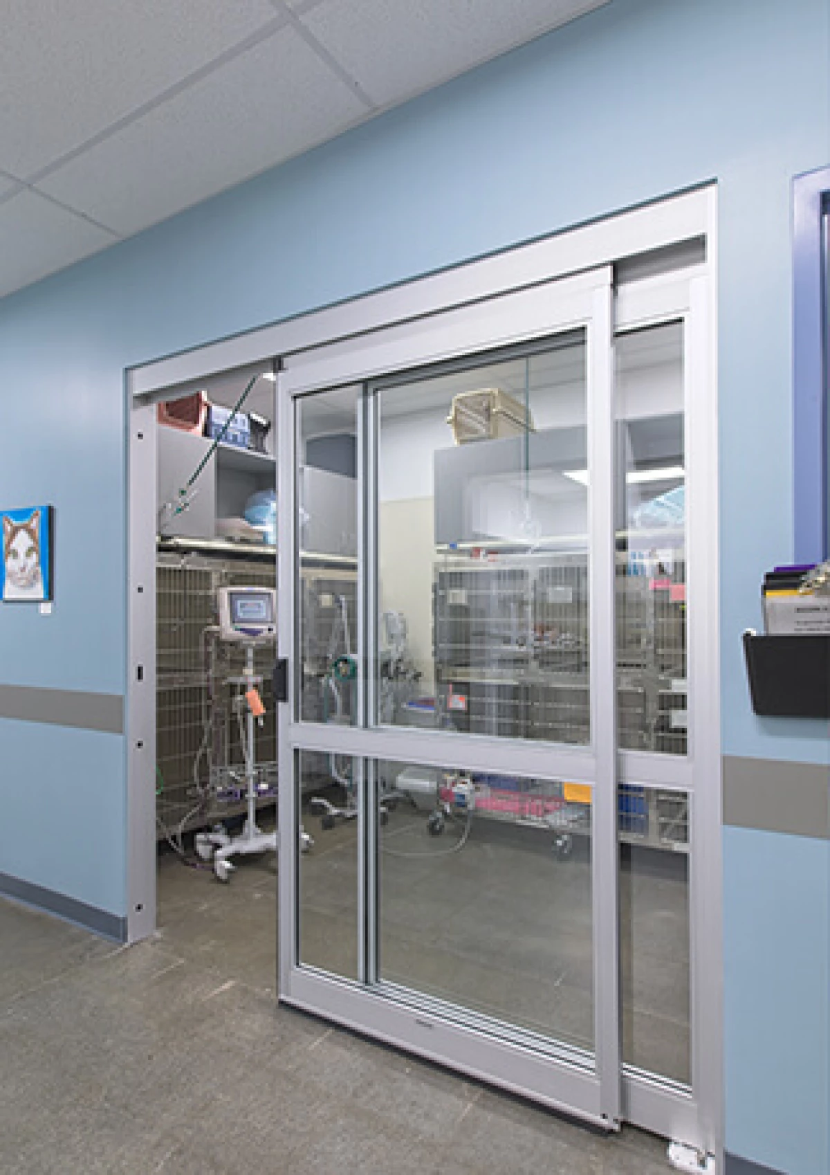 Image for testimonial from Adam Reiss, DVM, DACVECC