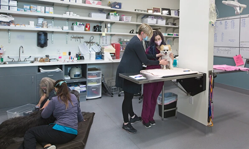 Highest Quality Healthcare Facilities for Vets + Pets!