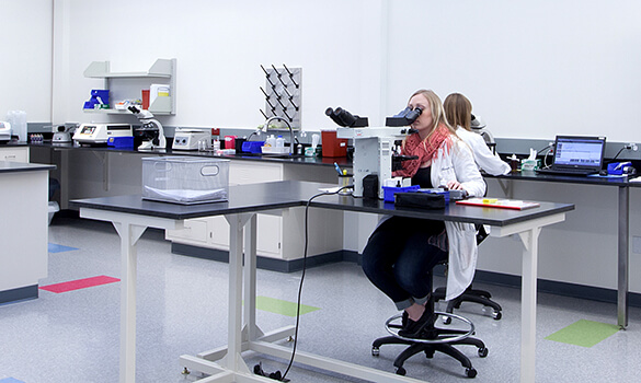 Creating a Lifecycle of Care Through Research + Laboratory Construction ...