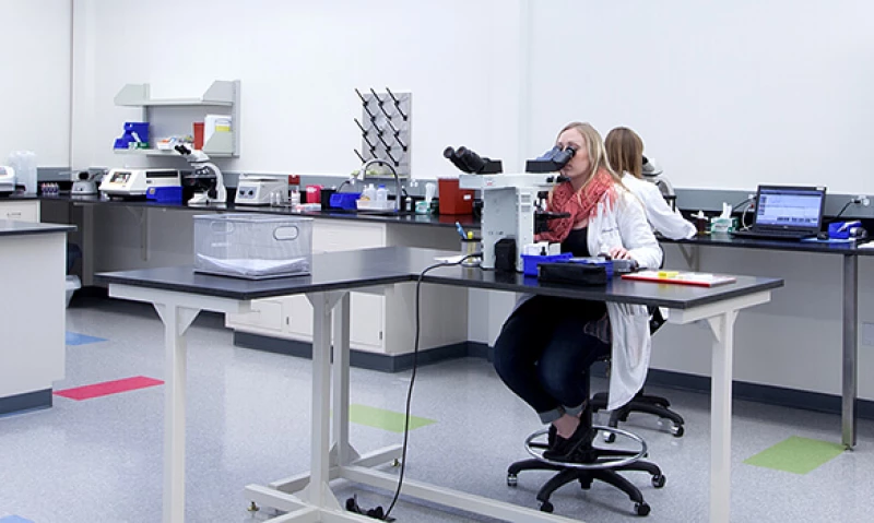 Creating a Lifecycle of Care Through Research + Laboratory Construction