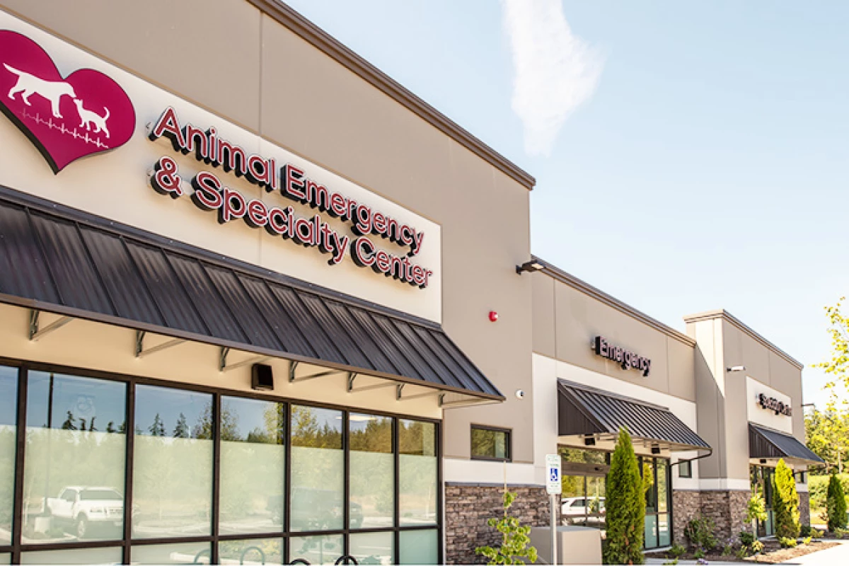 Project image for Animal Emergency + Specialty Center