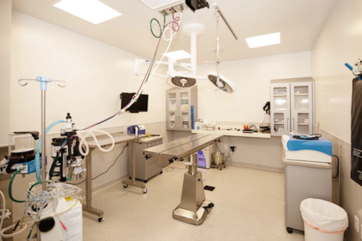 Project image for Animal Emergency + Specialty Center
