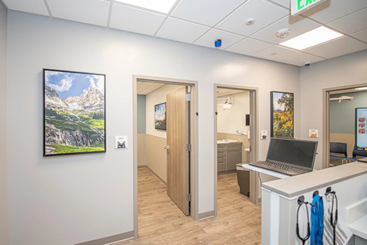 Project image for Animal Emergency + Specialty Center
