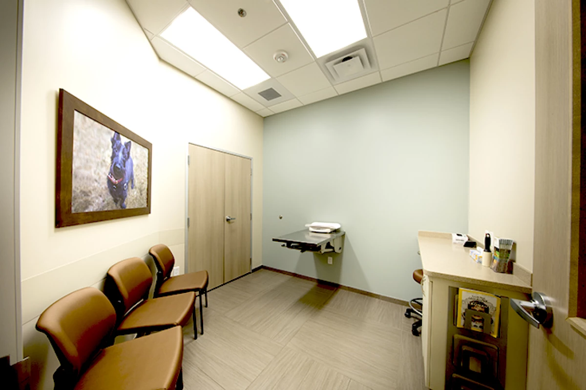 Project image for BluePearl Specialty + Emergency Pet Hospital