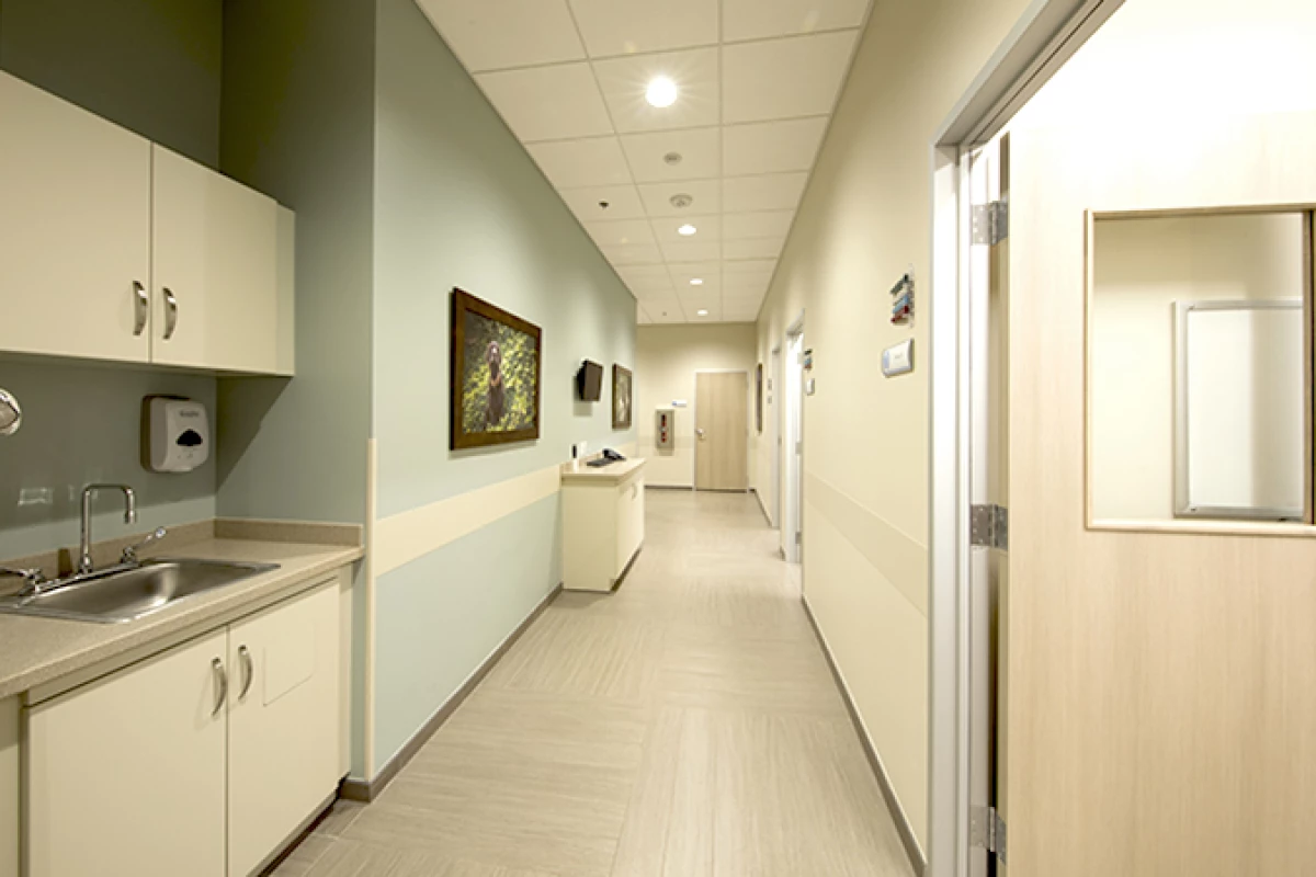 Project image for BluePearl Specialty + Emergency Pet Hospital