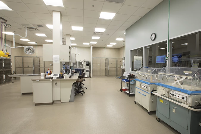 Bluebearl BluePearl Specialty + Emergency Pet Hospital | aldrich-vkp