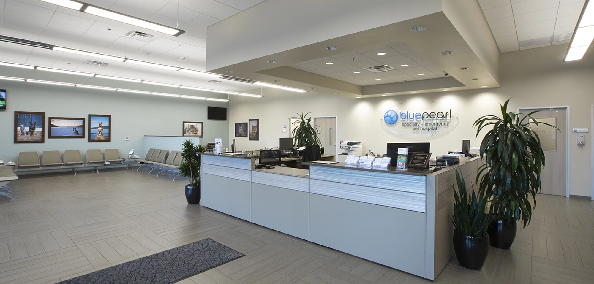 BluePearl Specialty + Emergency Pet Hospital