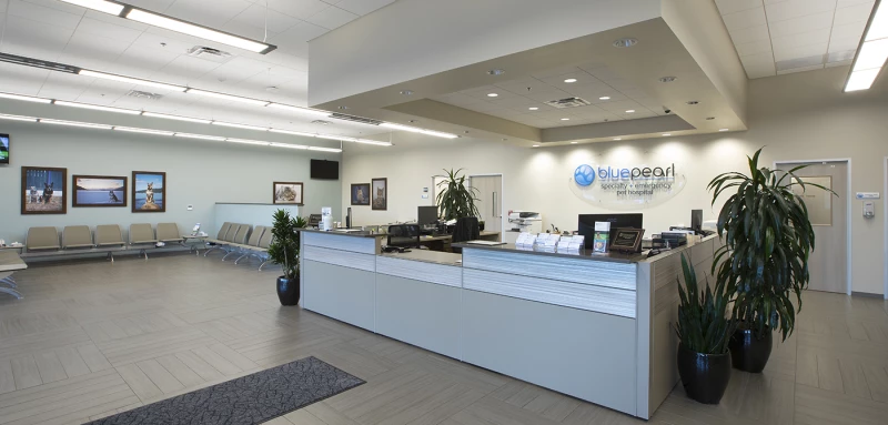 BluePearl Specialty + Emergency Pet Hospital