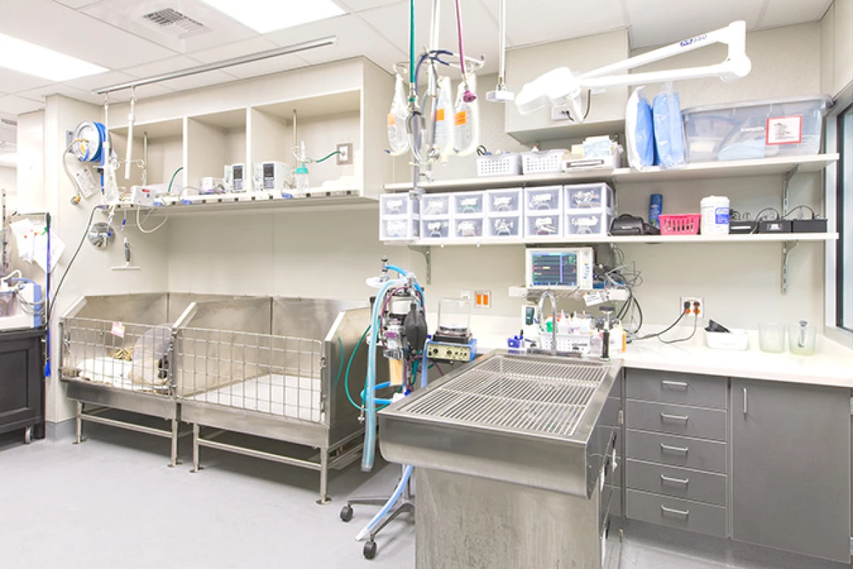 Project image for Summit Veterinary Referral Center