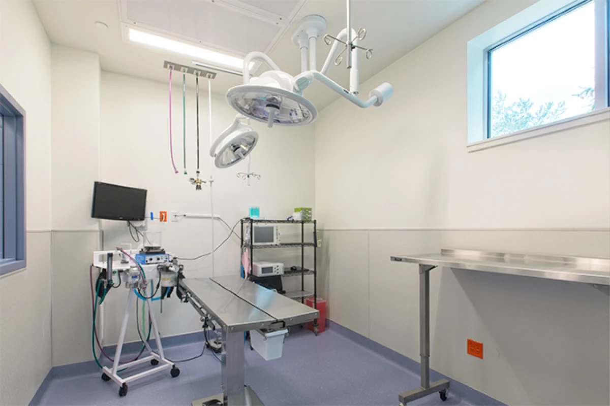 Project image for Summit Veterinary Referral Center