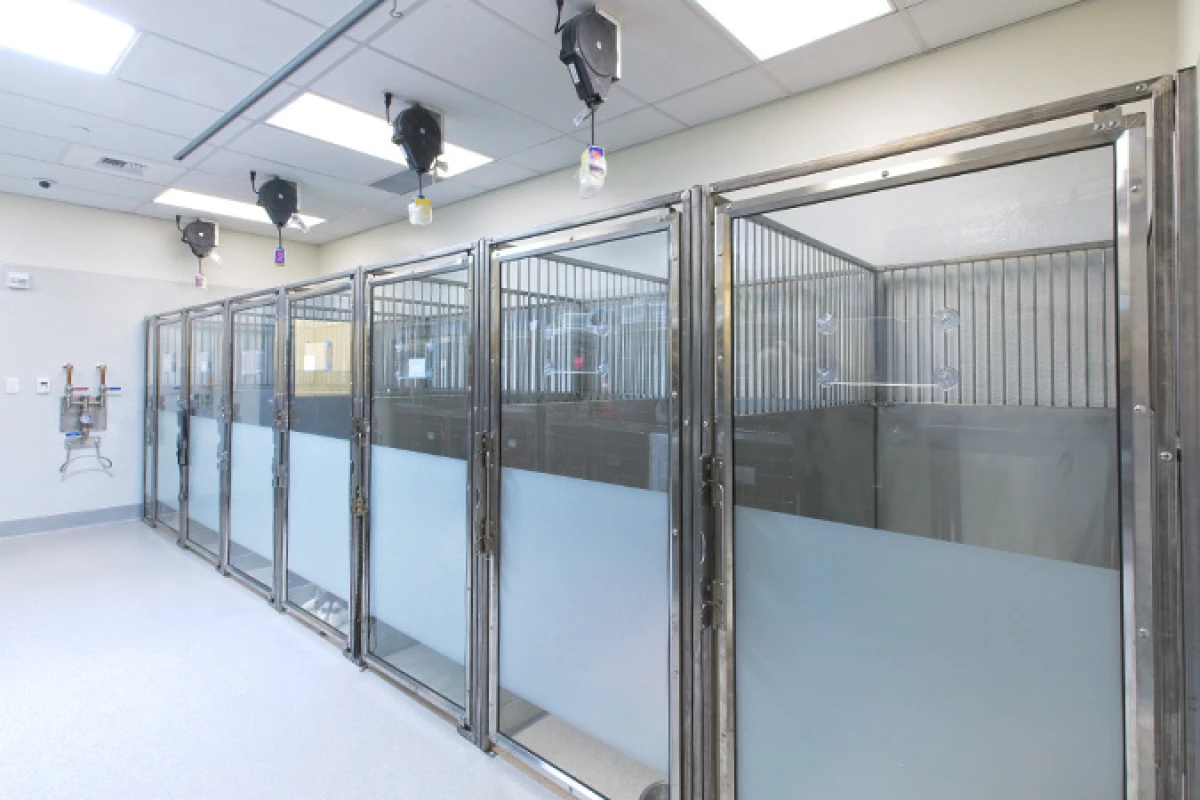 Project image for Summit Veterinary Referral Center