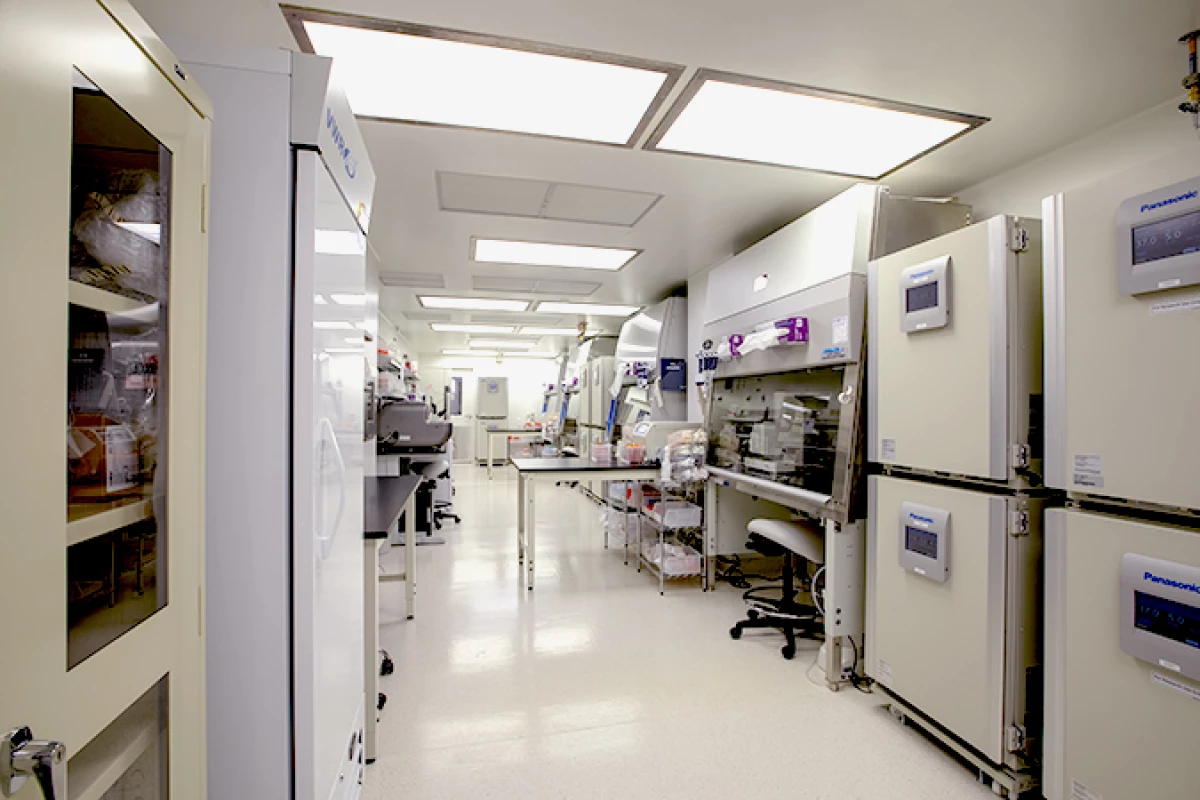 Project image for Universal Cells Laboratory
