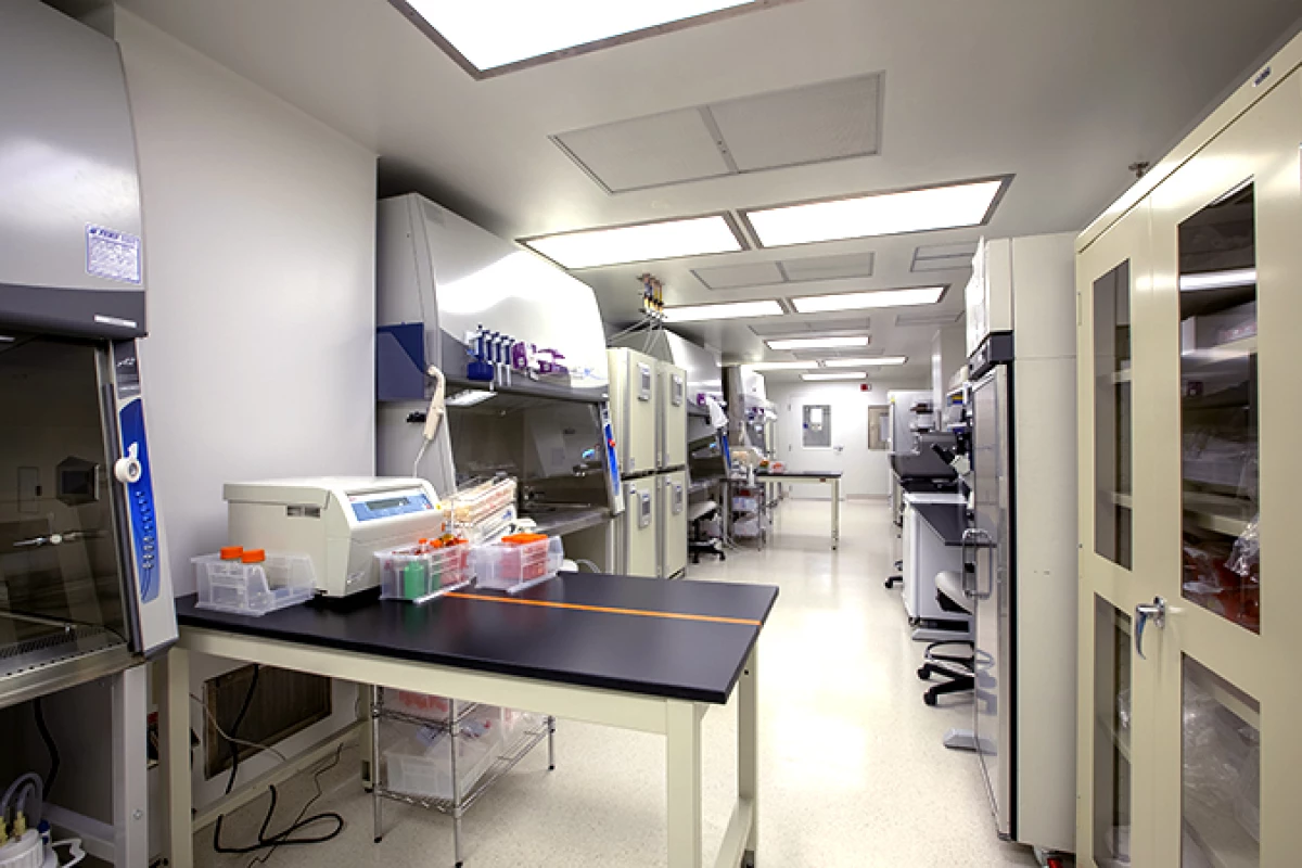 Project image for Universal Cells Laboratory
