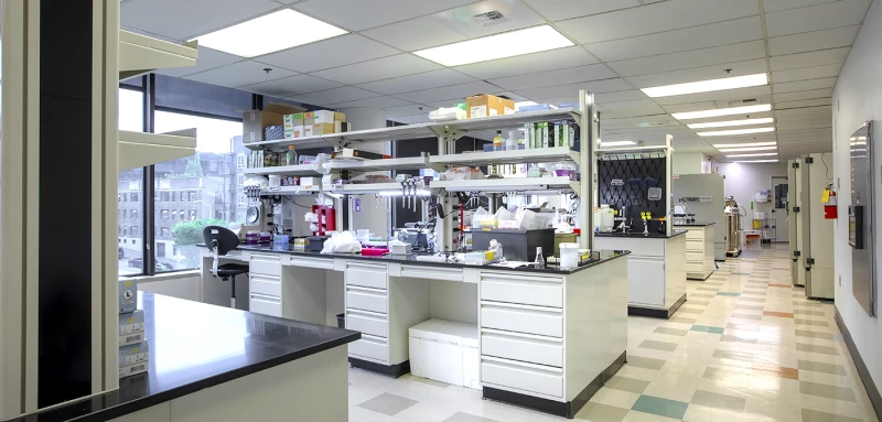 Universal Cells Laboratory