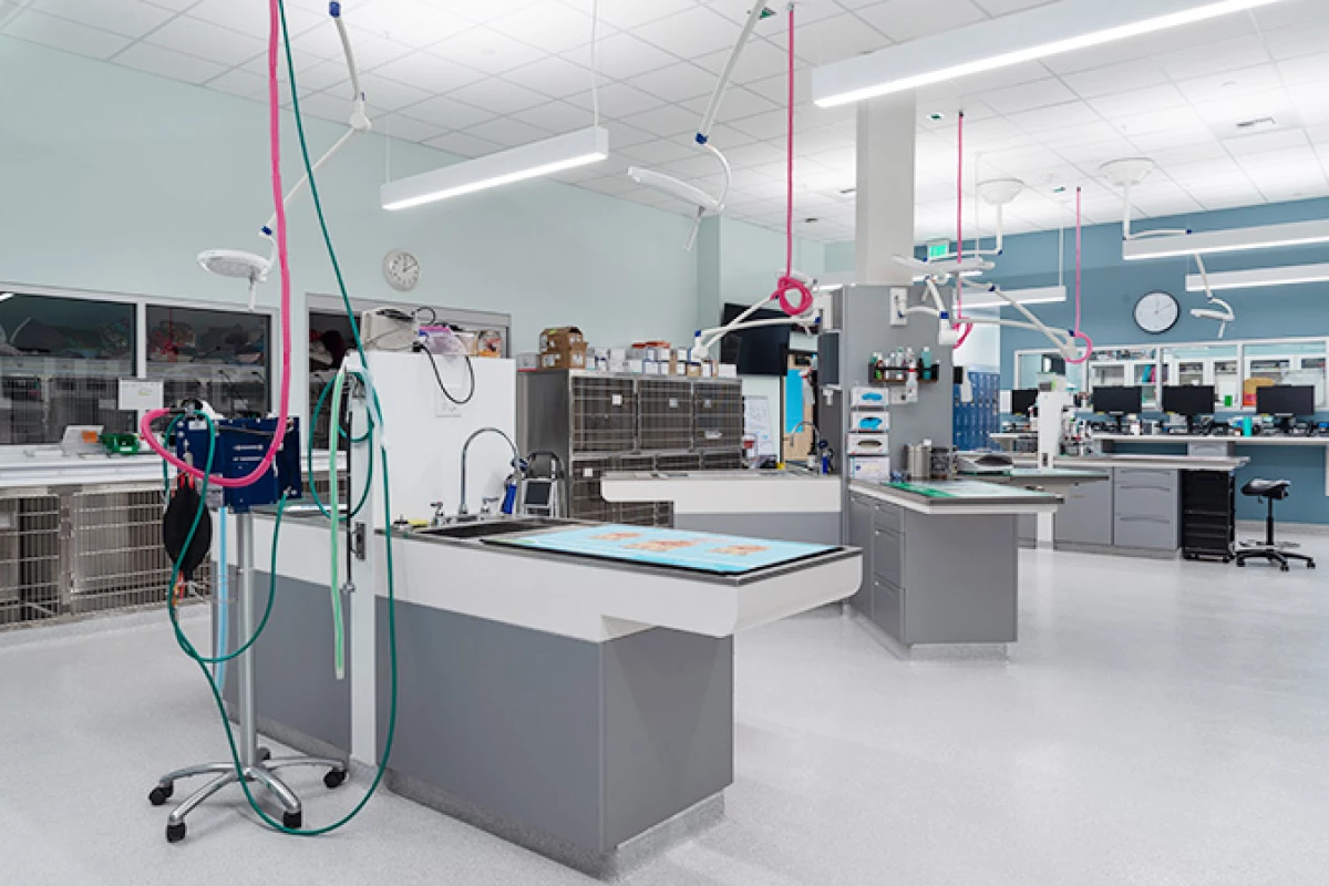 Project image for Frontier Village Veterinary Clinic
