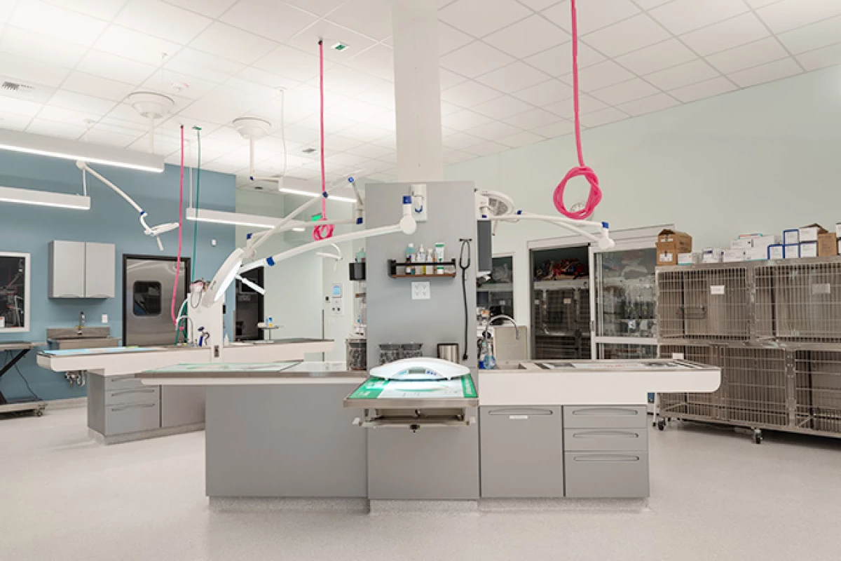 Project image for Frontier Village Veterinary Clinic