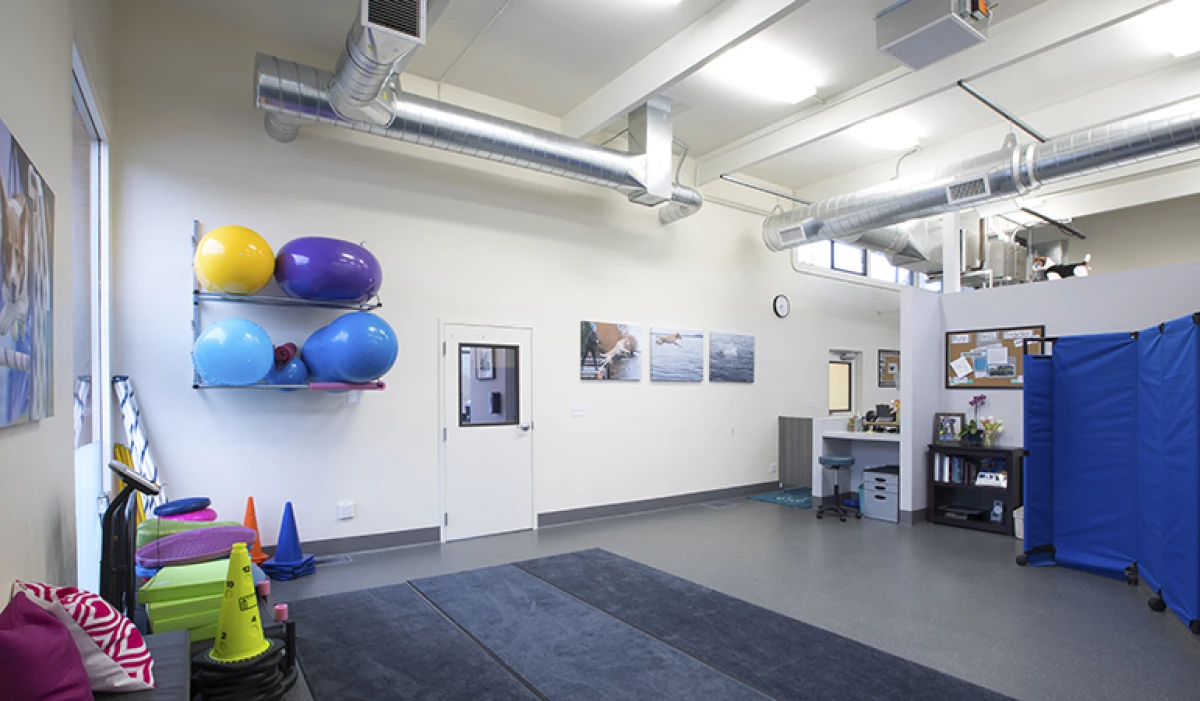 Project image for Sound Veterinary Rehabilitation Center