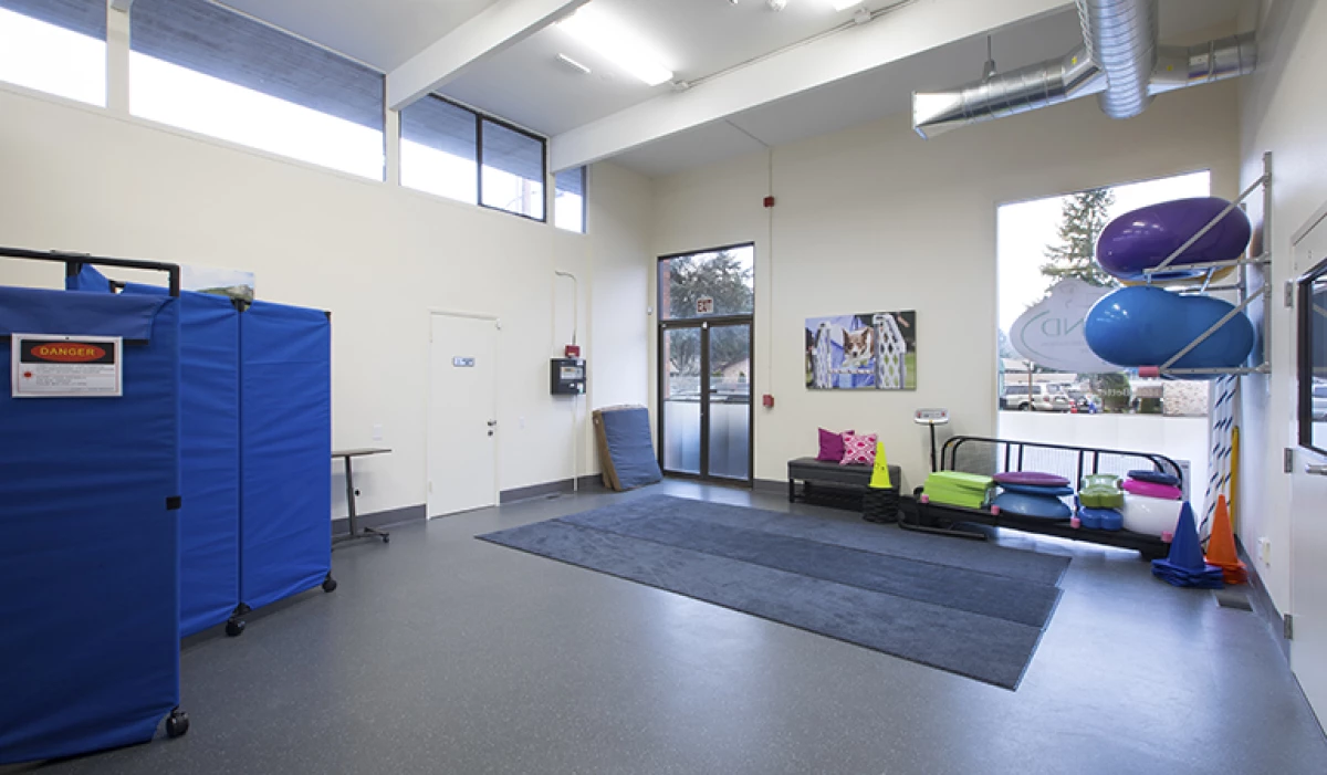 Project image for Sound Veterinary Rehabilitation Center