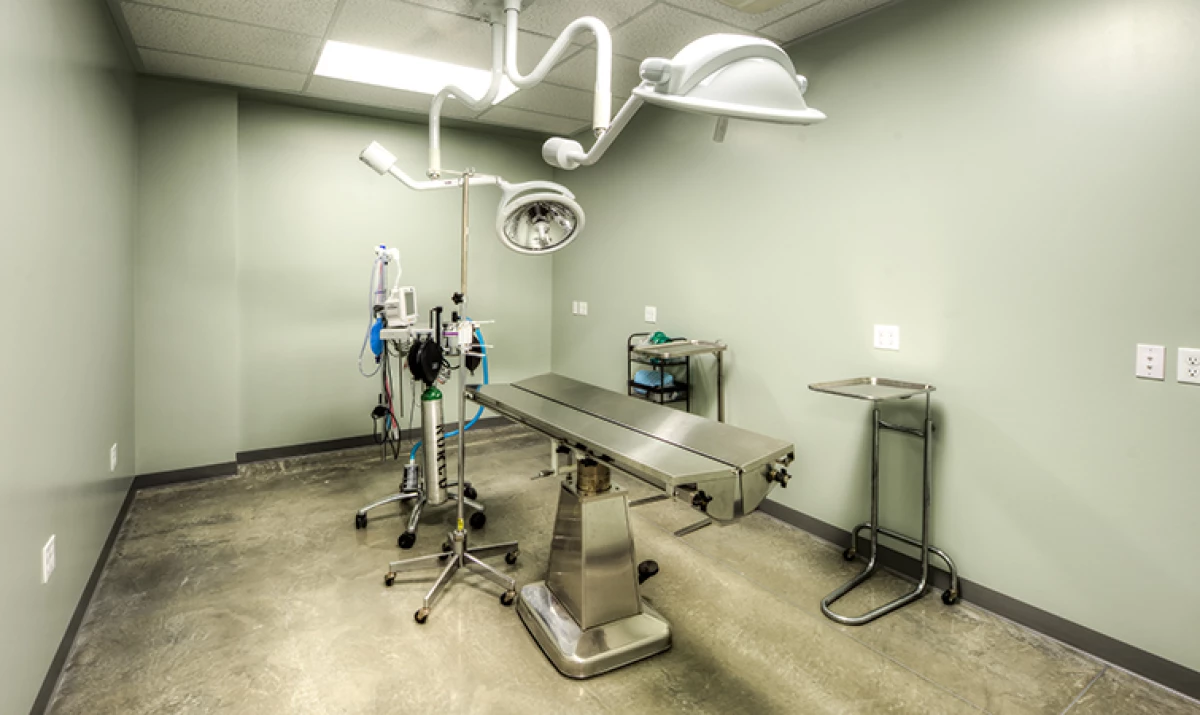 Project image for Bridge Animal Referral Center (BARC)