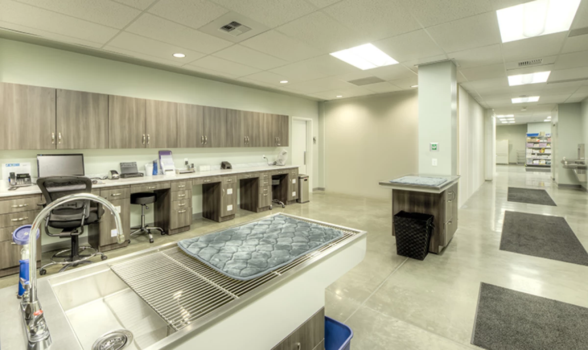Project image for Bridge Animal Referral Center (BARC)
