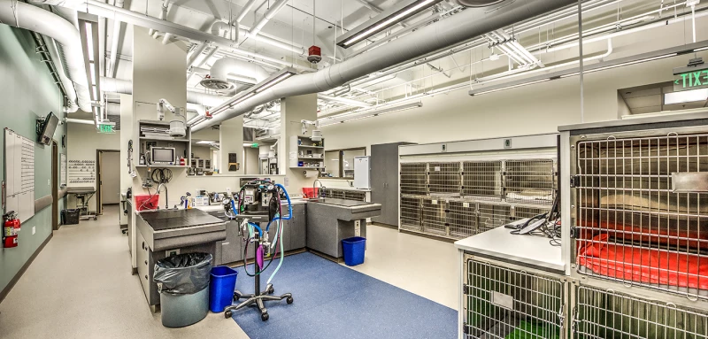 Seattle Veterinary Specialists