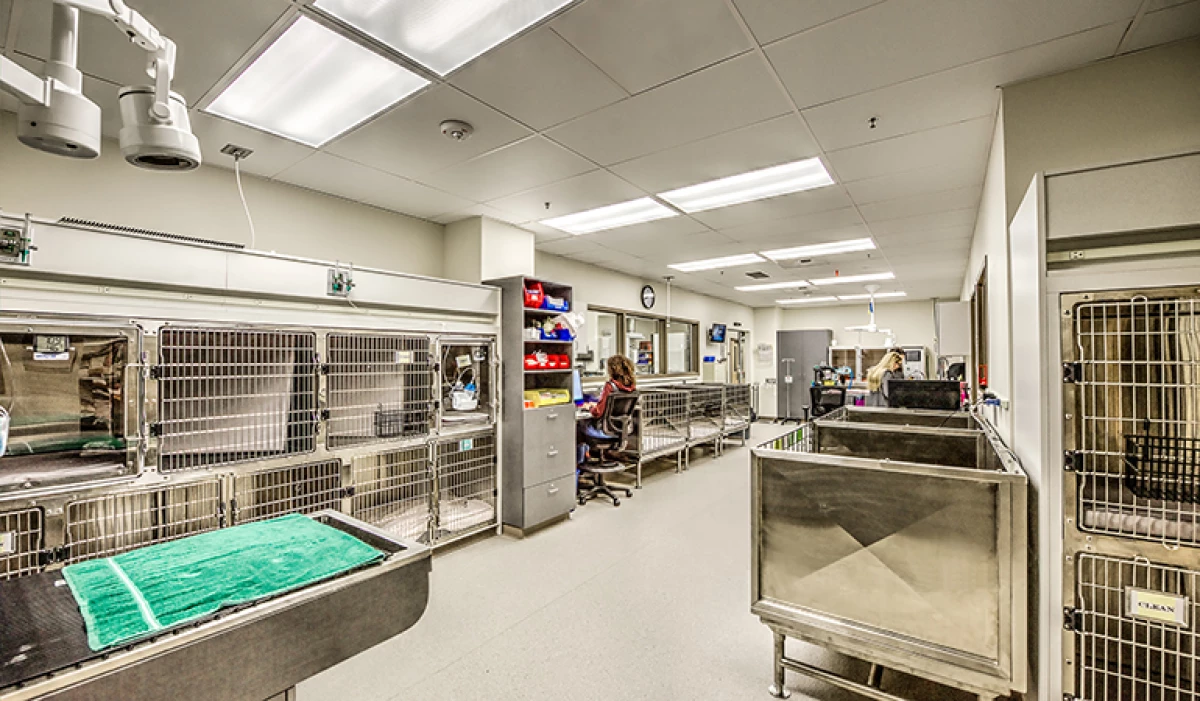 Project image for Seattle Veterinary Specialists