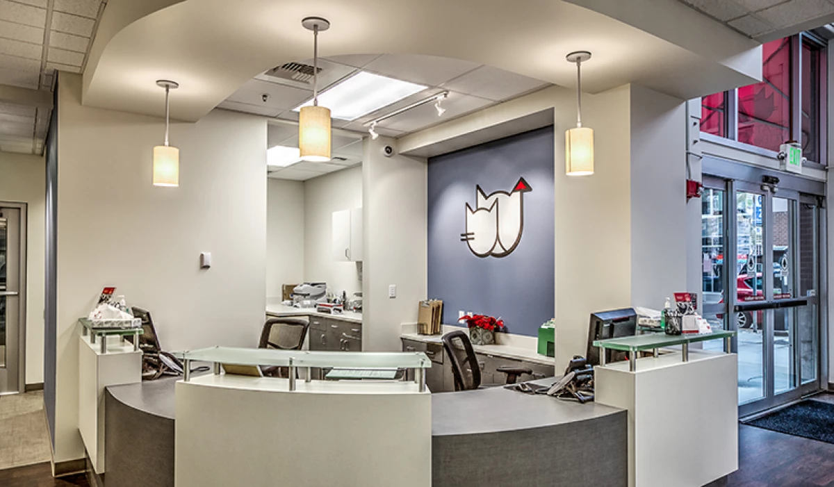 Project image for Seattle Veterinary Specialists