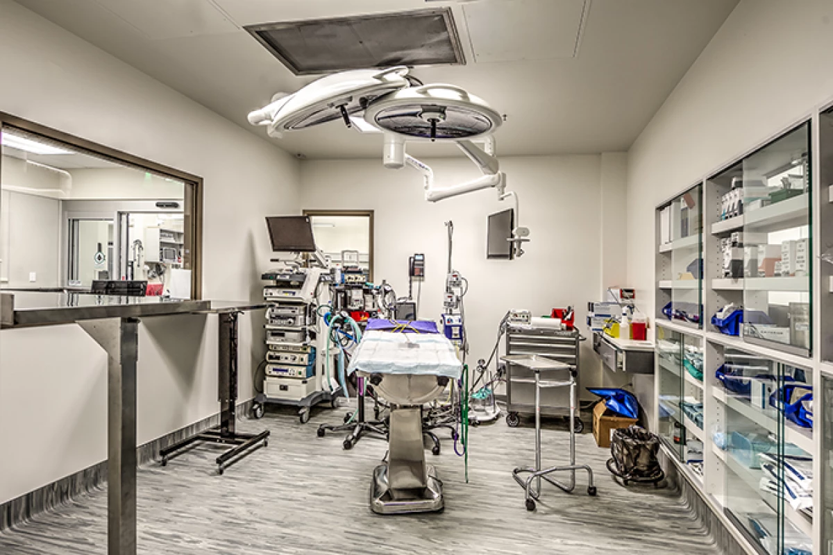 Project image for Seattle Veterinary Specialists