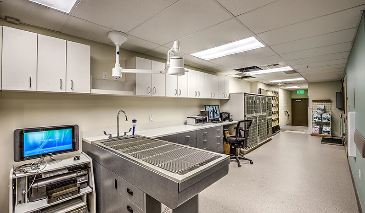 Project image for Seattle Veterinary Specialists