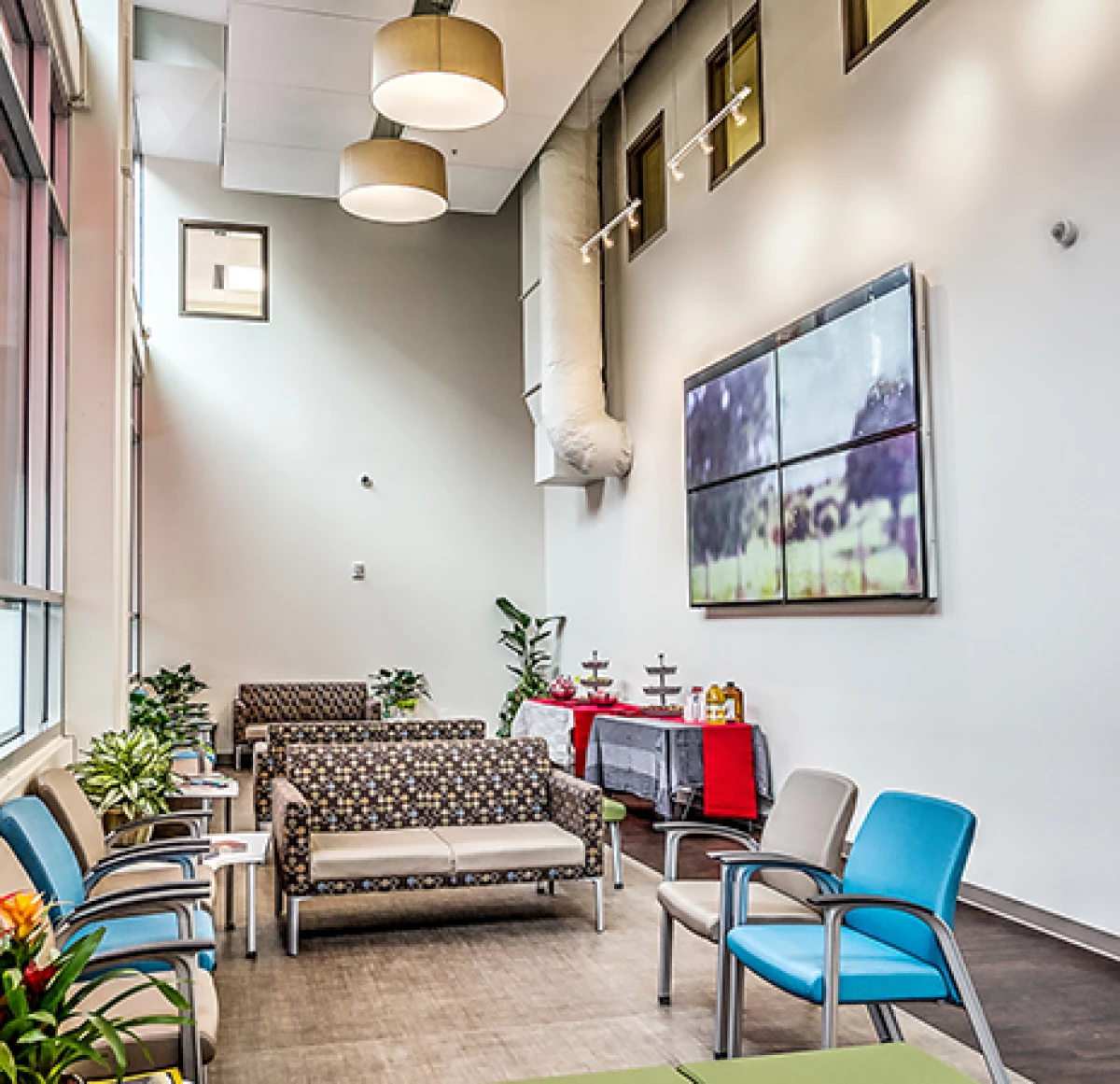 Project image for Seattle Veterinary Specialists