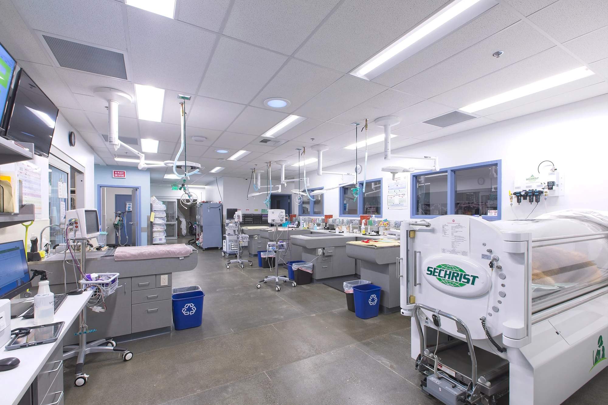 Animal Medical Center of Seattle (AMCS)