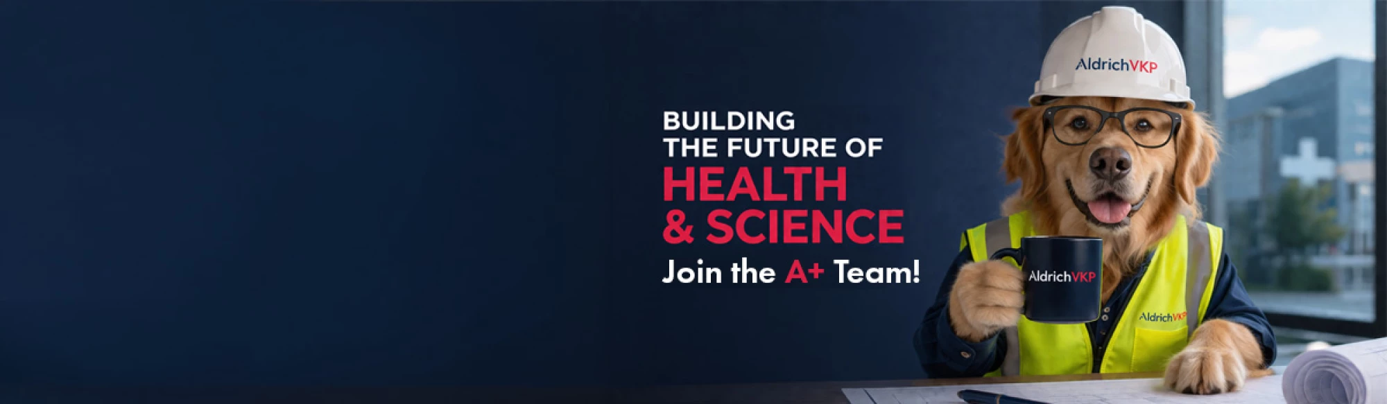 Senior Project Manager